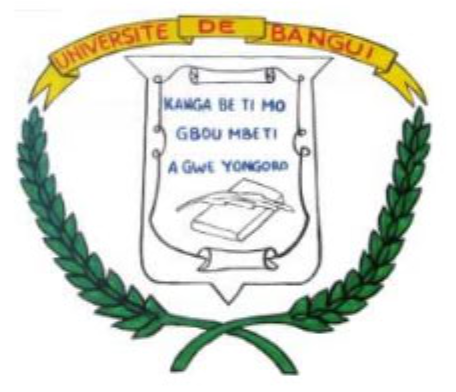Bienvenue sur la plateforme numérique de l’Université de Bangui